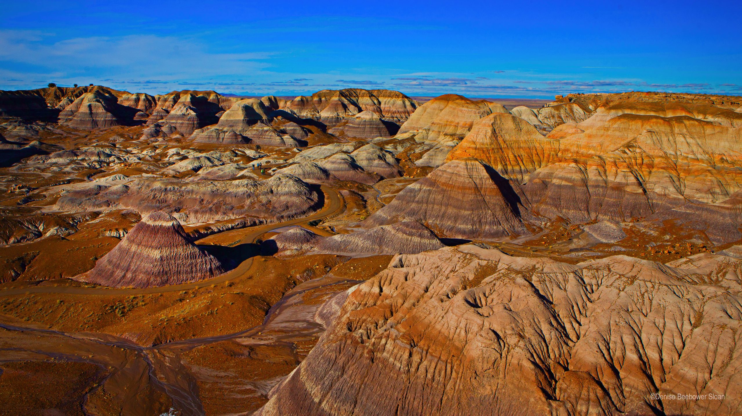 Blue Mesa Overlook | PCS Adventures