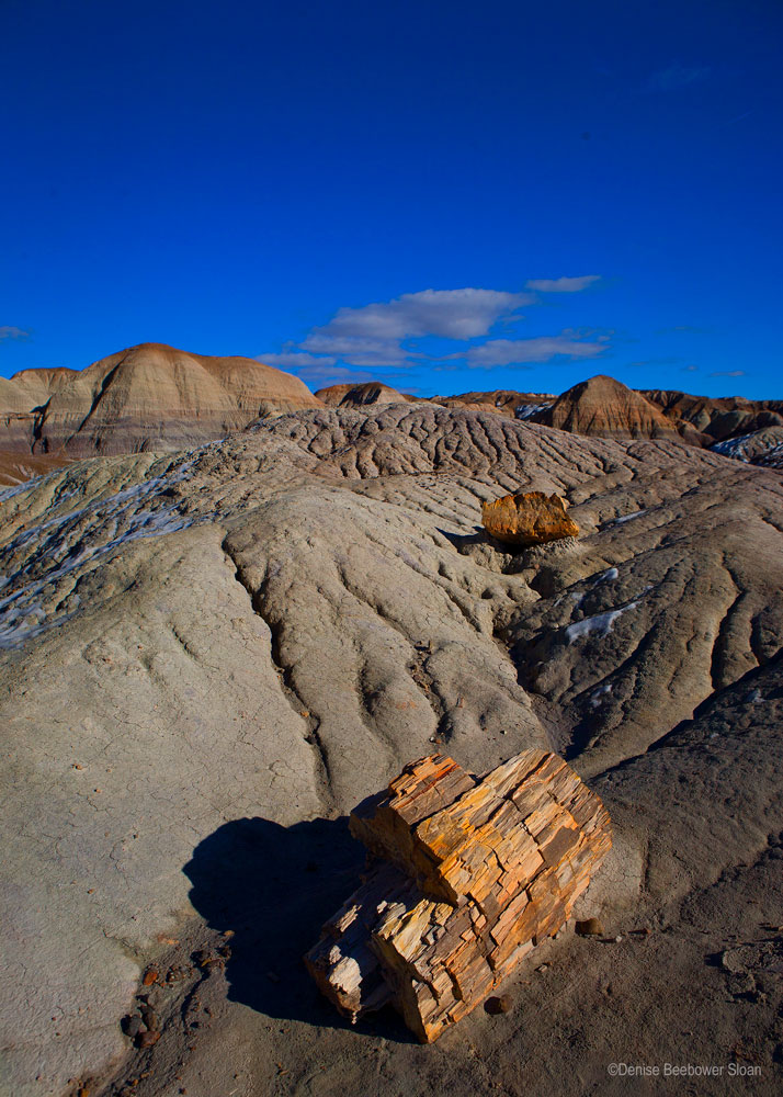 Blue Mesa Overlook | PCS Adventures