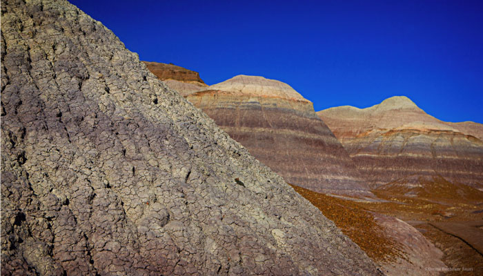 Blue Mesa Overlook | PCS Adventures