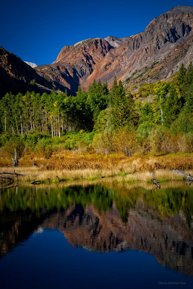 Lundy Beaver Pond | PCS Adventures Lundy Beaver Pond | PCS Adventures