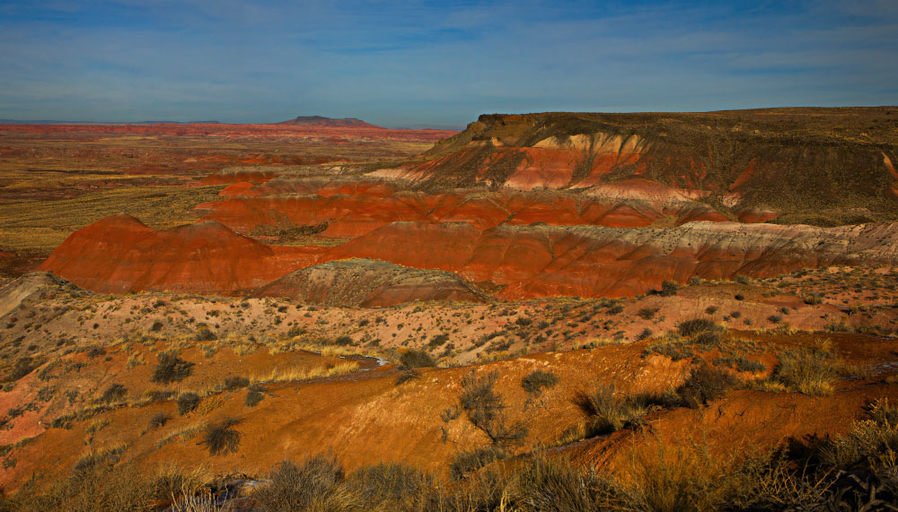Blue Mesa Overlook | PCS Adventures
