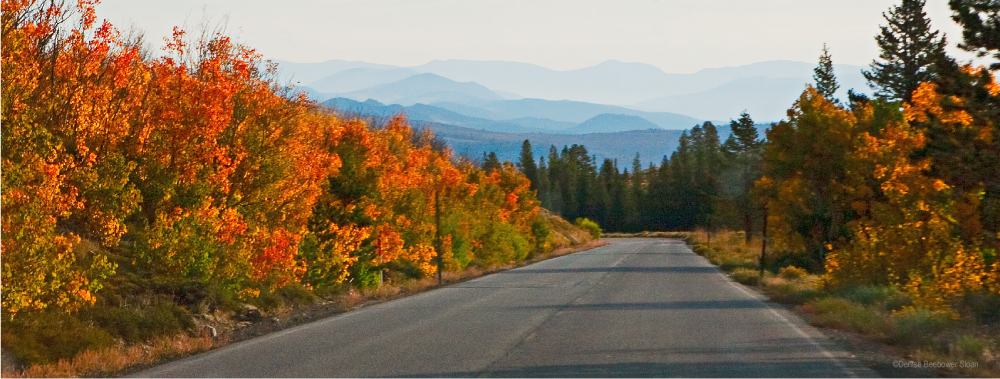 Virginia Lakes Drive | PCS Adventures Virginia Lakes Drive | PCS Adventures