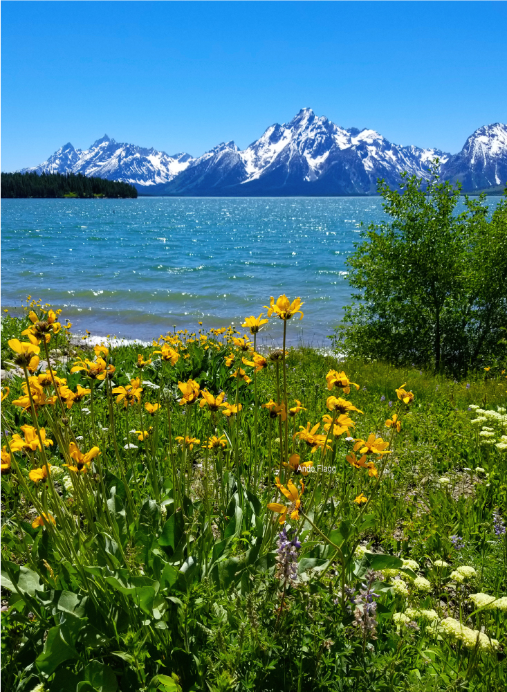 Grand Tetons | PCS Adventures Grand Tetons | PCS Adventures