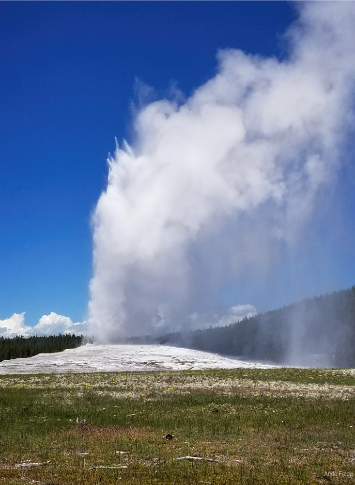 Old Faithful | PCS Adventures Old Faithful | PCS Adventures