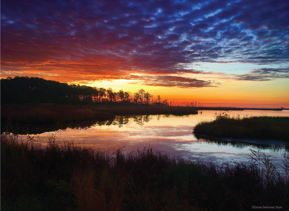 Blackwater Sunrise | PCS Adventures