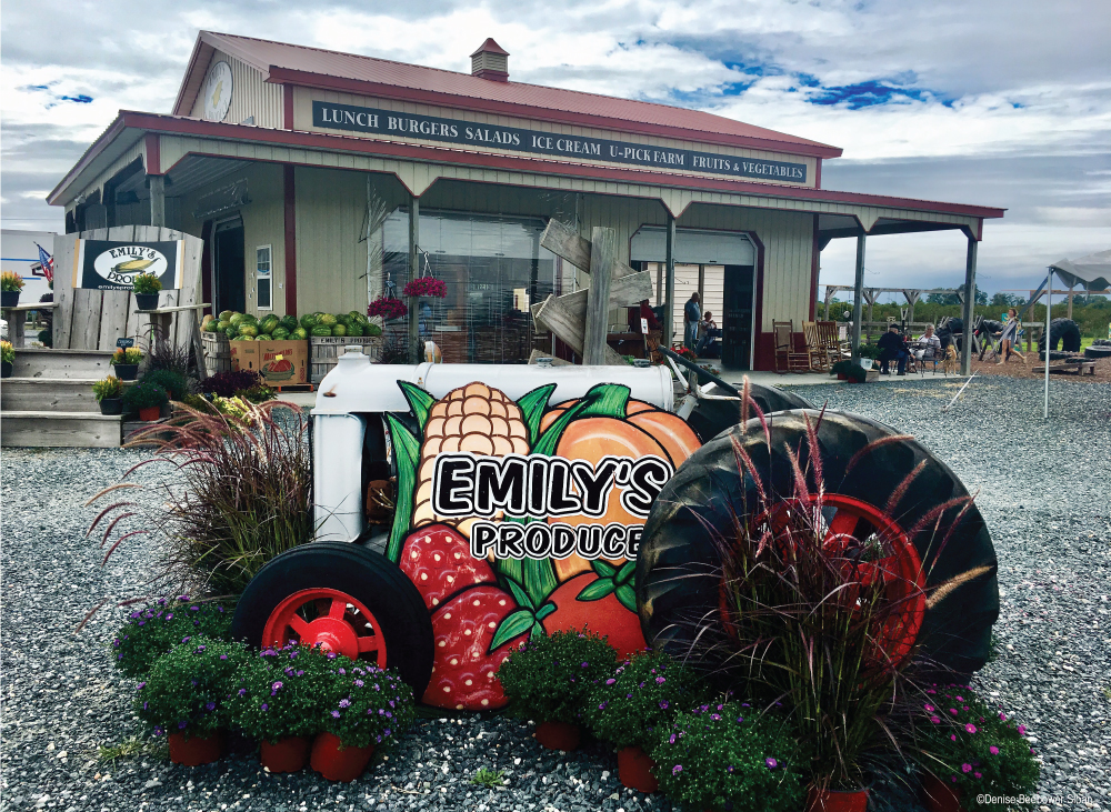 Emily's Produce | PCS Adventures