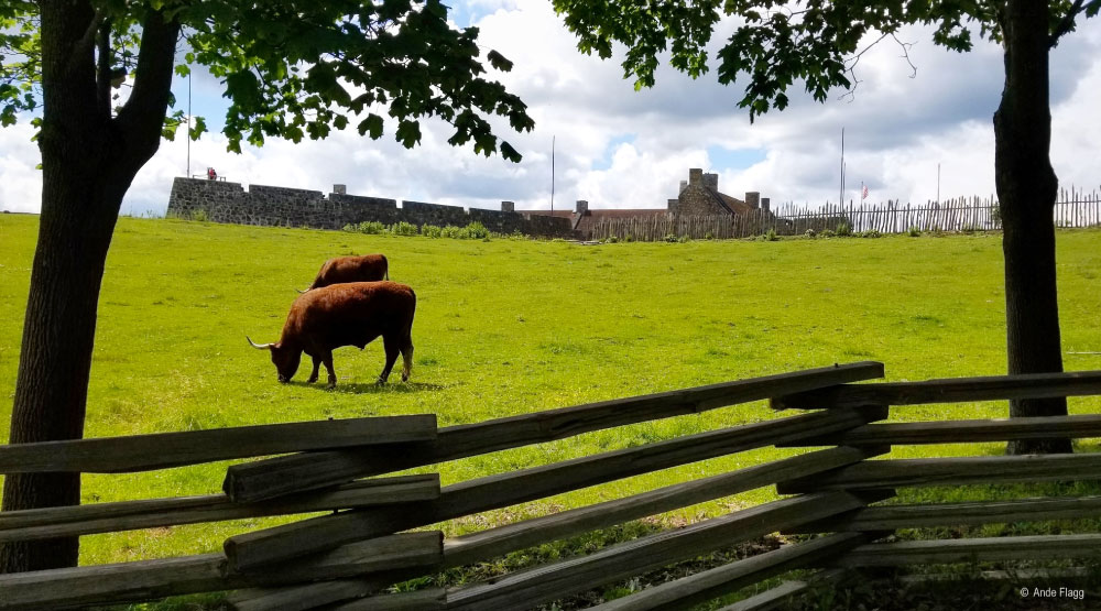 Ft. Ticonderoga, NY | PCS Adventures