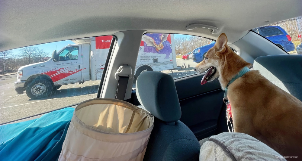 On the Move Again, UHaul Edition | PCS Adventures On the Move Again, UHaul Edition | PCS Adventures