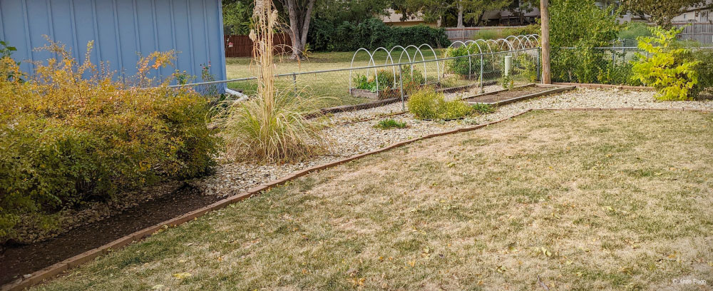 Backyard Adventures | PCS Adventures