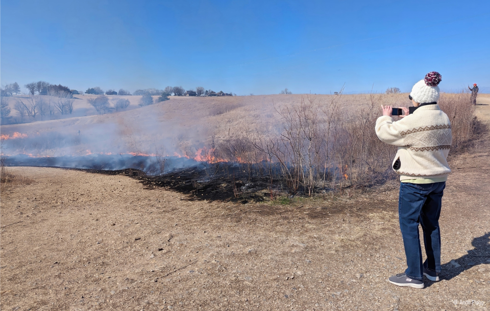 Where There's Smoke | PCS Adventures
