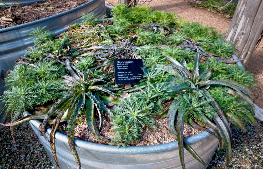 Portable Gardens | PCS Adventures Portable Gardens | PCS Adventures
