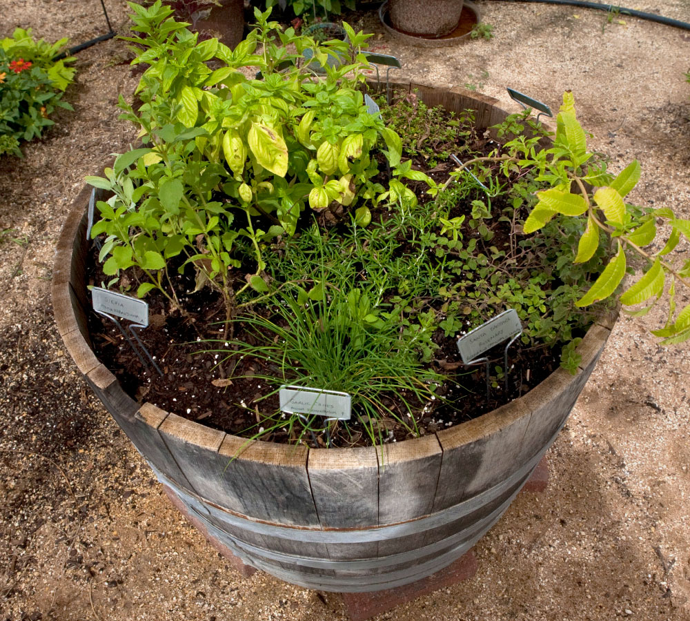 Portable Gardens | PCS Adventures Portable Gardens | PCS Adventures