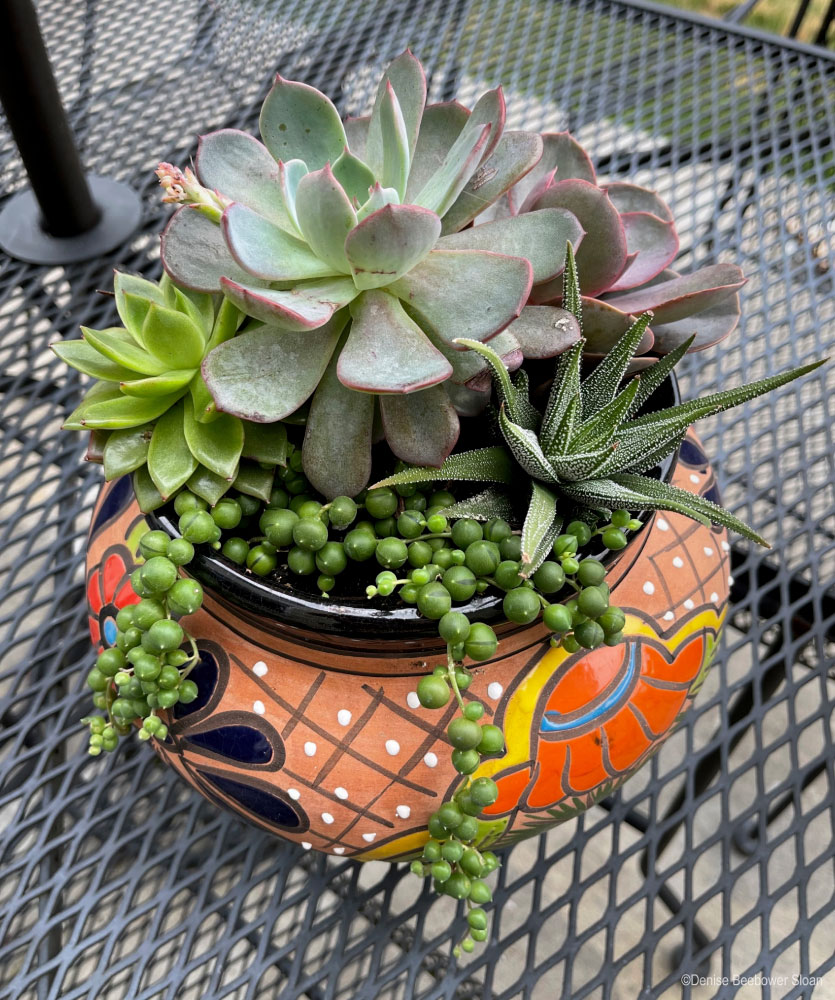 Portable Gardens | PCS Adventures Portable Gardens | PCS Adventures