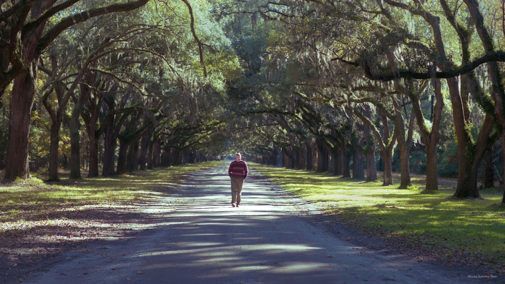 If You Go: Southern Living Edition | PCS Adventures If You Go: Southern Living Edition | PCS Adventures