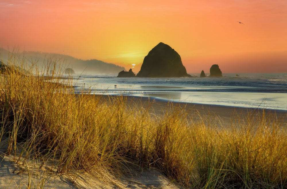 Living in the Pacific Northwest | PCS Adventures Living in the Pacific Northwest | PCS Adventures