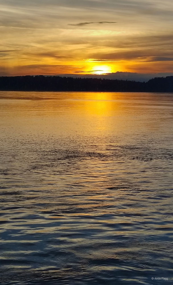 Living in the Pacific Northwest | PCS Adventures Living in the Pacific Northwest | PCS Adventures