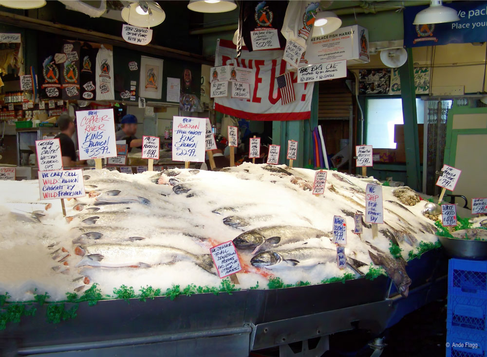 Living in the Pacific Northwest | PCS Adventures Living in the Pacific Northwest | PCS Adventures