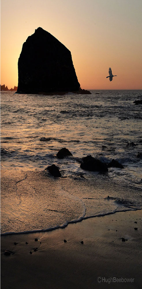 Living in the Pacific Northwest | PCS Adventures Living in the Pacific Northwest | PCS Adventures