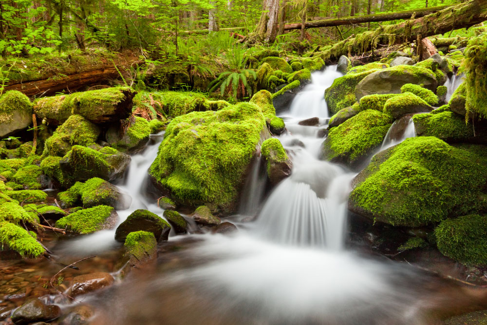 Living in the Pacific Northwest | PCS Adventures Living in the Pacific Northwest | PCS Adventures
