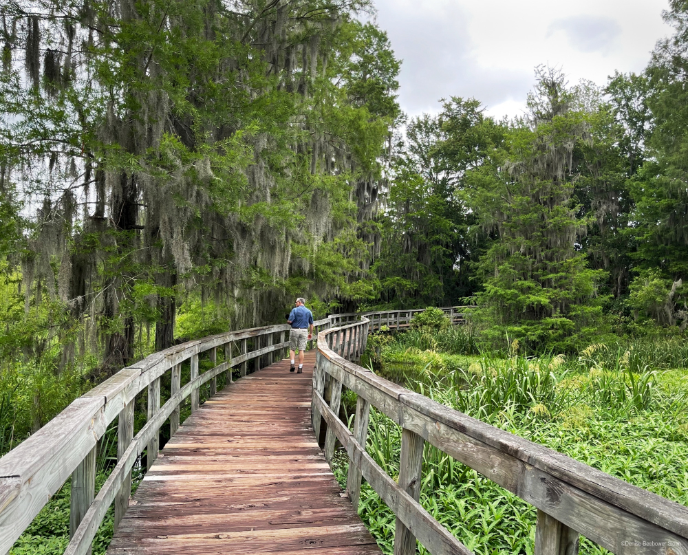 Adventures at Ft. Gordon and Augusta, GA | PCS Adventures Adventures at Ft. Gordon and Augusta, GA | PCS Adventures