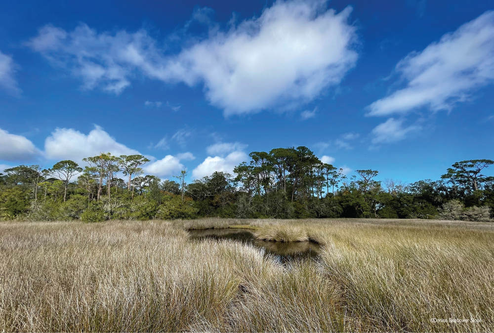 Fort Mose Historic State Park, FL | PCS Adventures