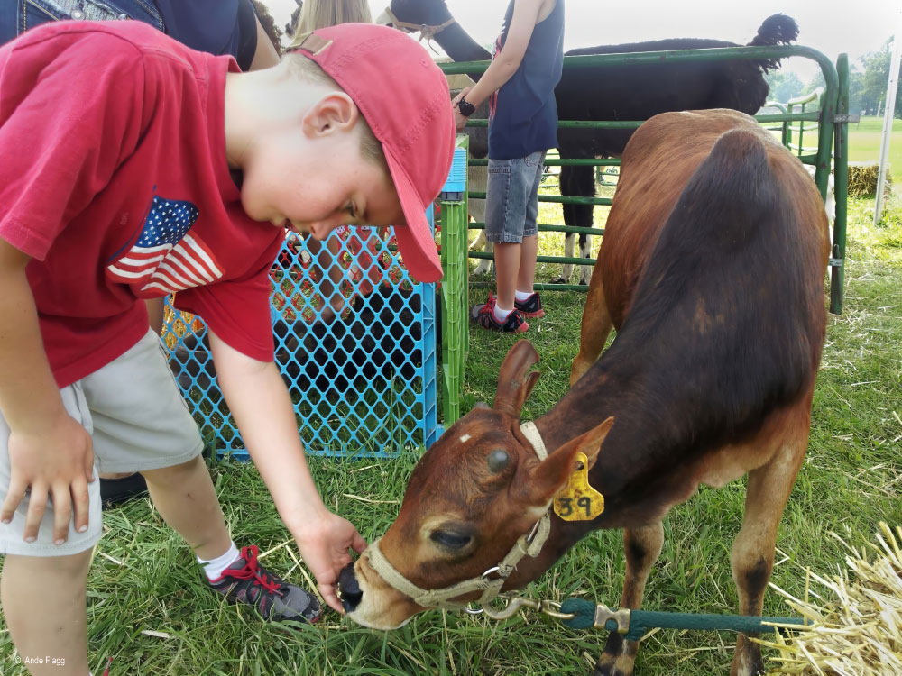 Ft. Leonard Wood, MO | PCS Adventures Ft. Leonard Wood, MO | PCS Adventures