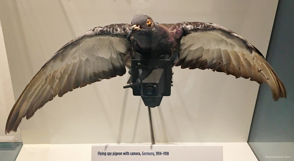 International Spy Museum, MD | PCS Adventures International Spy Museum, MD | PCS Adventures