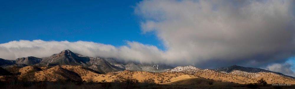 Ft. Huachuca, AZ | PCS Adventures Ft. Huachuca, AZ | PCS Adventures