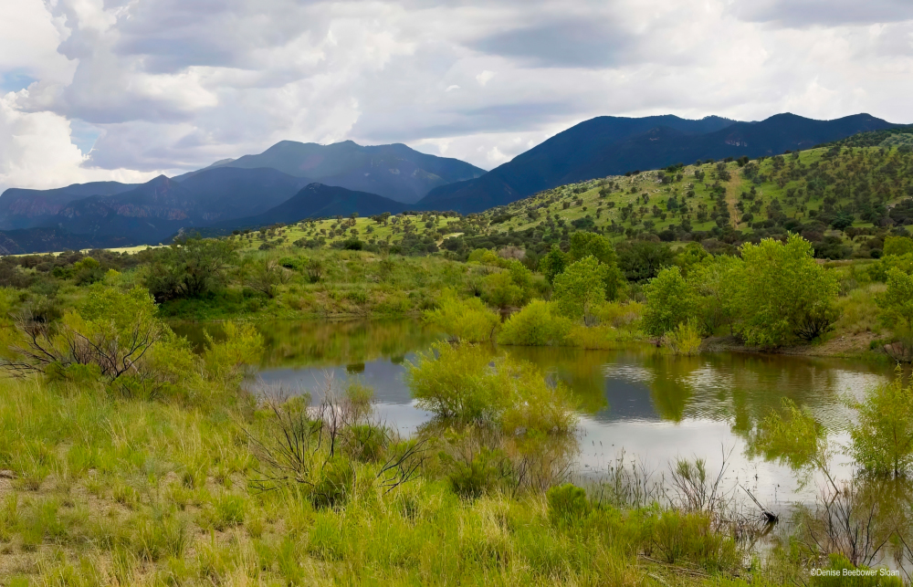 Ft. Huachuca, AZ | PCS Adventures Ft. Huachuca, AZ | PCS Adventures
