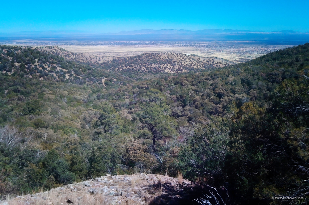 Ft. Huachuca, AZ | PCS Adventures Ft. Huachuca, AZ | PCS Adventures