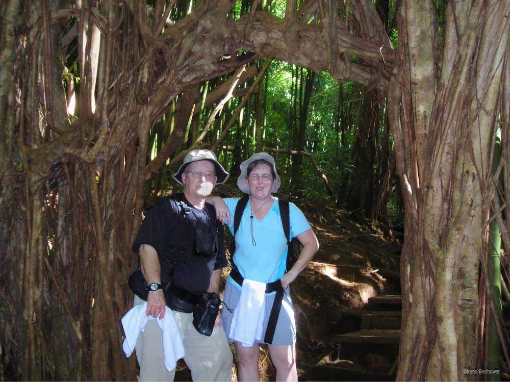 Manoa-Falls-Hikers Adventures at Ft. Gordon and Augusta, GA | PCS Adventures