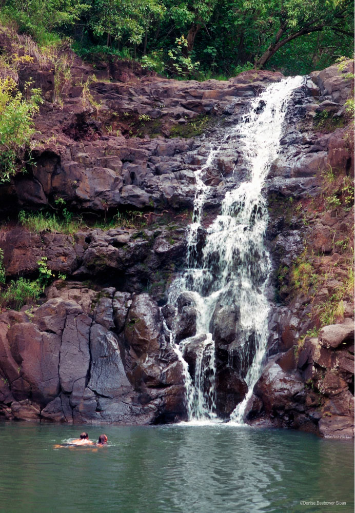 Waimea-Falls-copy Adventures at Ft. Gordon and Augusta, GA | PCS Adventures