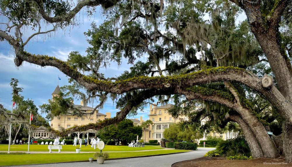 Adventures at Ft. Gordon and Augusta, GA | PCS Adventures
