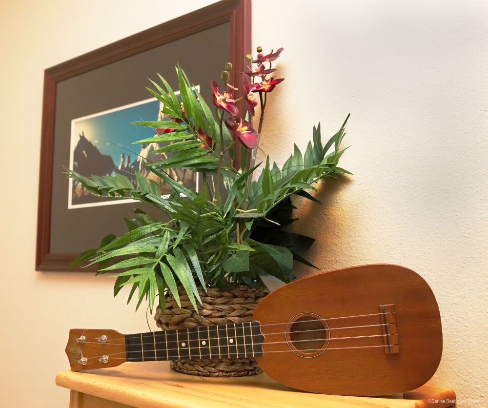 Ukulele2 Adventures at Ft. Gordon and Augusta, GA | PCS Adventures