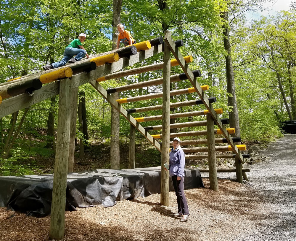 Obstacle-Course | PCS Adventures Obstacle Course | PCS Adventures