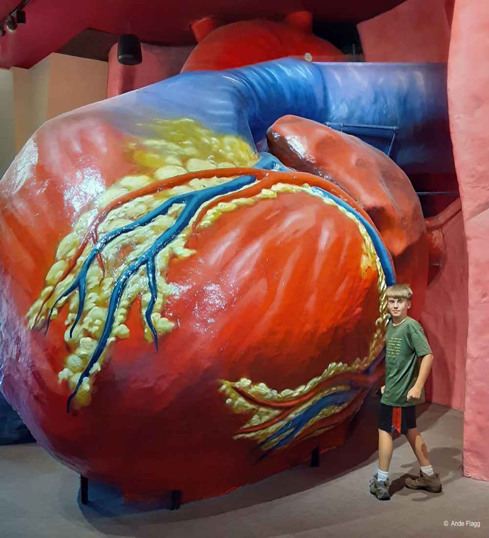 The-Heart | PCS Adventures The Heart | PCS Adventures