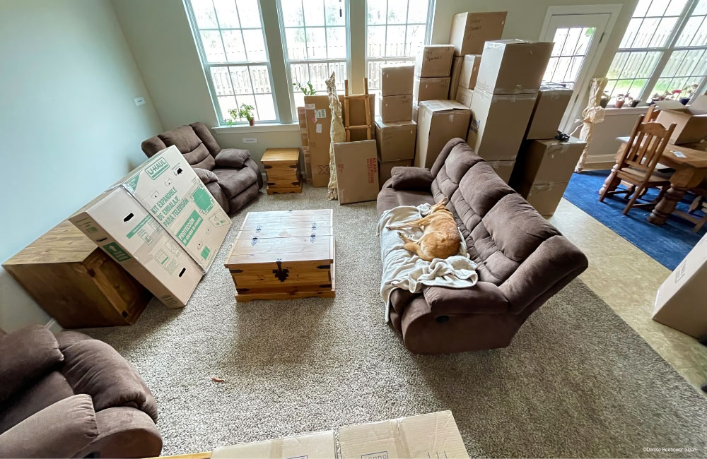Smilla And Boxes | PCS Adventures Smilla And Boxes | PCS Adventures