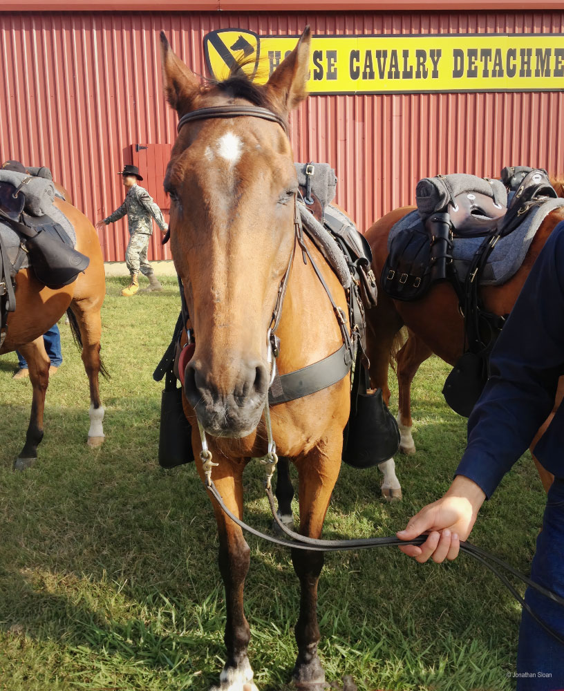 1st Calvary Horse Detachment | PCS Adventures