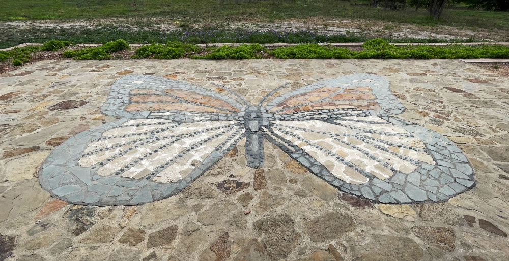 Cooper-Springs-Butterfly | PCS Adventures Cooper-Springs-Butterfly | PCS Adventures