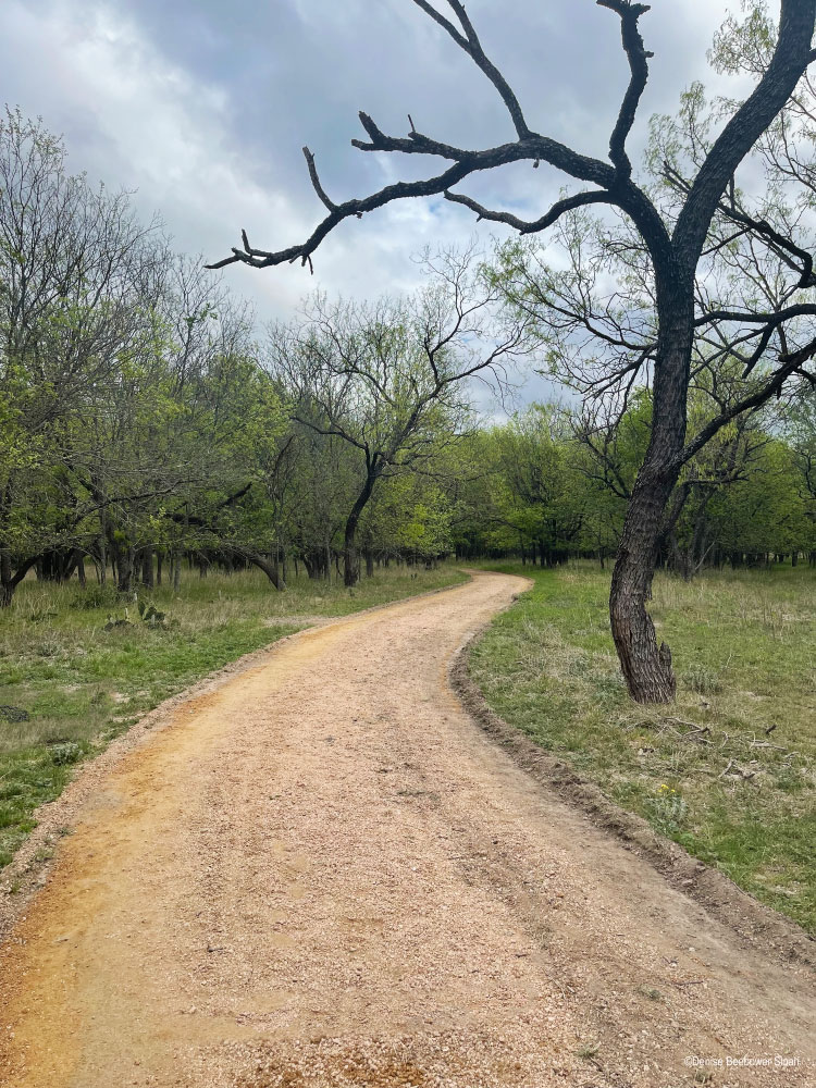 Cooper-Springs-Trail | PCS Adventures Cooper-Springs-Trail | PCS Adventures