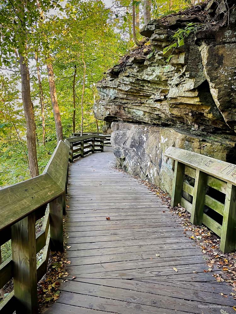 Brandywine Falls Trail | PCS Adventures Brandywine Falls Trail | PCS Adventures