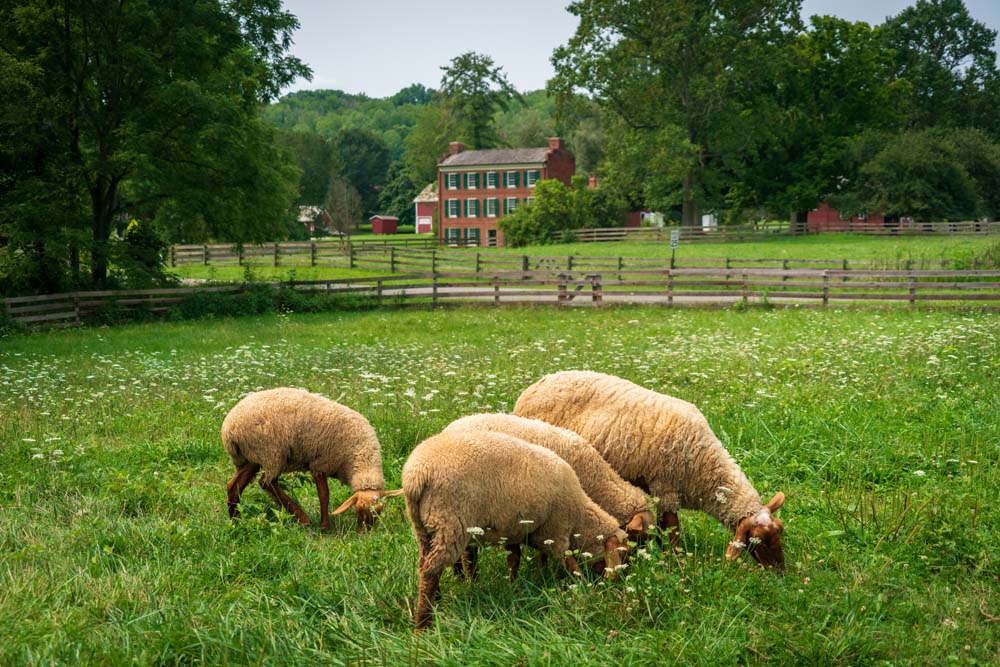Hale Farm Village, Cuyahoga Valley National Park | PCS Adventures Hale Farm Village, Cuyahoga Valley National Park | PCS Adventures