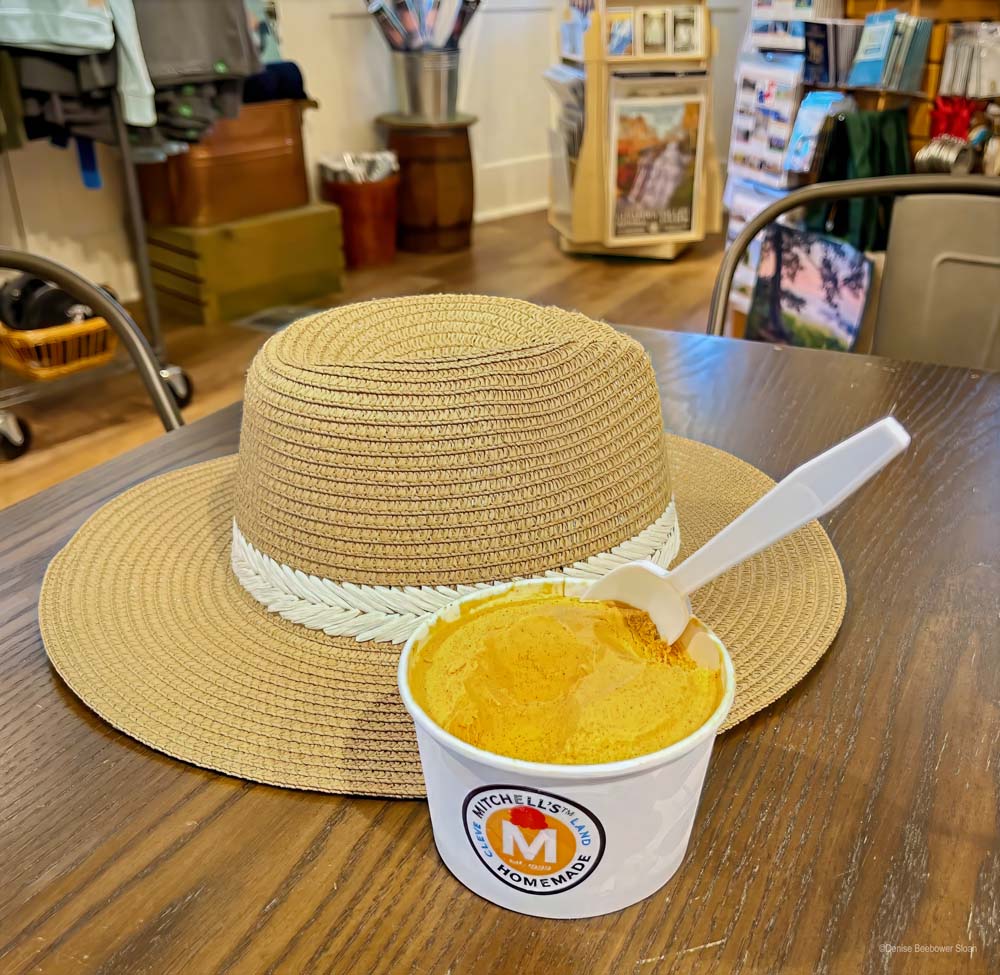 Ice Cream | PCS Adventures Ice Cream | PCS Adventures