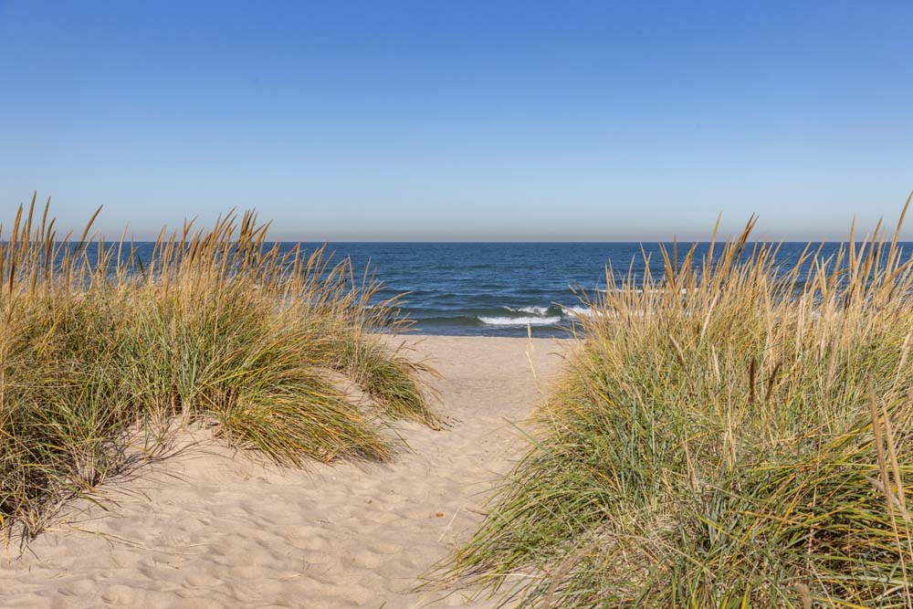 pathway to Lake Michigan at Indiana Dunes National Park, NPS | PCS Adventures